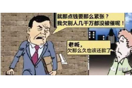 东平东平的要账公司在催收过程中的策略和技巧有哪些？